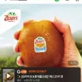 제스프리 골드키위 자이언트 사이즈 총 3.2kg 21입