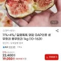 영암 GAP인증 생무화과 1kg