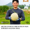 고당도 프리미엄 머스크 멜론 4kg