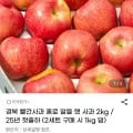 경북 못난이 홍로 햇사과 2kg