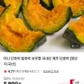 미니단호박 2kg