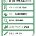 장 피부 면역 알로에겔 젤리 14포 6개