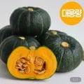 미니 밤호박 9kg
