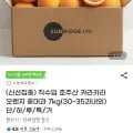 호주산 카라카라 오렌지 중대과 7kg