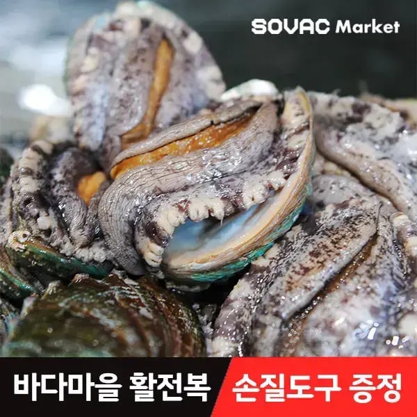 완도 활 전복 특대 1kg 8~9미