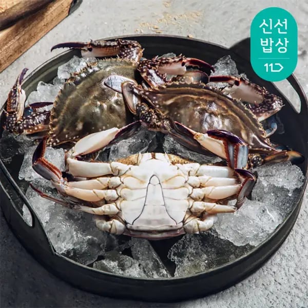 태안 자연산 활 꽃게 2kg 6-10미