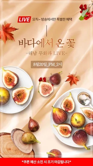 GAP 인증 하우스 무화과 2팩
