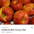 안동 홍로 사과 5kg