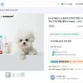 레모나 댕모어 애견 뿌리는 치약 1+1