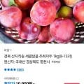 추희자두 1kg 8-13과