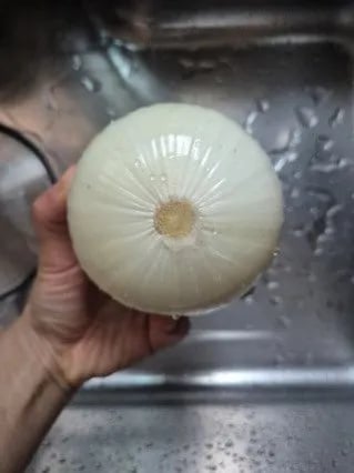 창녕 양파 깐양파 국내산 만생종 햇양파