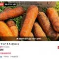 햇당근 주스용 3kg
