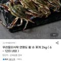 연평도 활 숫꽃게 2kg