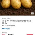 햇감자 소중 혼합 5kg