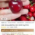 항공직송 고당도 생체리 500g (8,201원/무료)