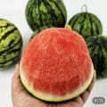 미니 애플수박 (9,700원/무료)4