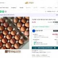 구운계란 60구