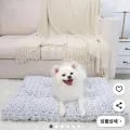 벨벳 반려견 쿠션