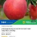 거창 아오리/부사 1.4kg 2봉