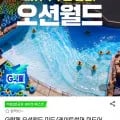 오션월드 미드/레이트썸머 미드어텀 종일권