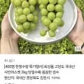 국내산 고당도 샤인머스켓 2kg