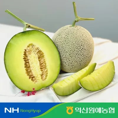 하우스 머스크 멜론 특 4kg