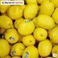 생레몬 중과 10과