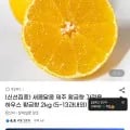 하우스 황금향 2kg 5~13과