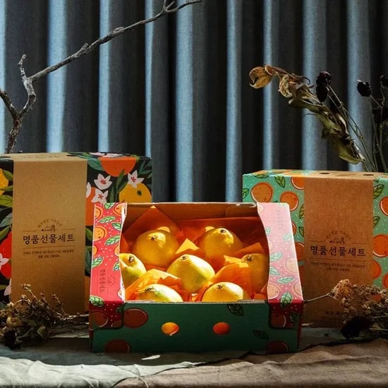 제주 황금향 선물세트 1.6kg 6-9과