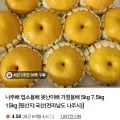 나주배 가정용 5kg
