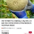 농협 머스크 멜론 2kg 이상 대과 2수 총 4kg 이상