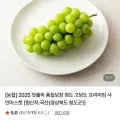 청도농협 고당도 샤인머스켓 2kg