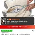 극세사 빨래주머니 운동화 세탁망 2개