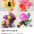 랜덤 꽃 10송이