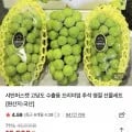 샤인머스켓 수출용 특품 1.5kg 2~3수