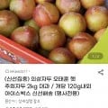 추희자두 2kg 대과
