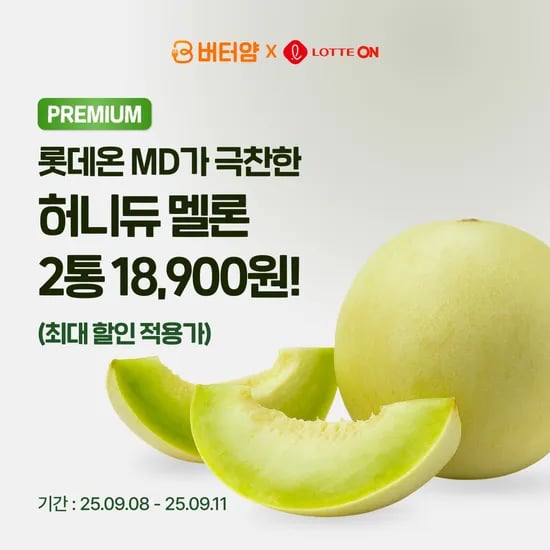 허니듀멜론 2수 4.4kg 내외