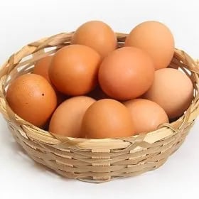 에그온 포기김치 섞박지 깍두기 청수냉면 생선구이 갈비탕 어성초 베네플러스 돈까스 참치 생연어 목우촌 갈비 삼육두유 다향오리 외 다양