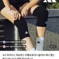 아디다스 퍼포먼스 무릎보호대 1+1