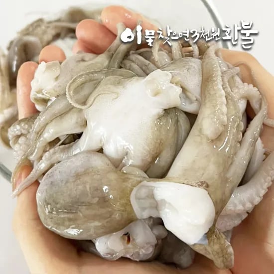 손질 통주꾸미 중(M) 24미 750g(10,096원)/손질 활복오징어 대(L) 1팩(3미)(7,775원)/무료