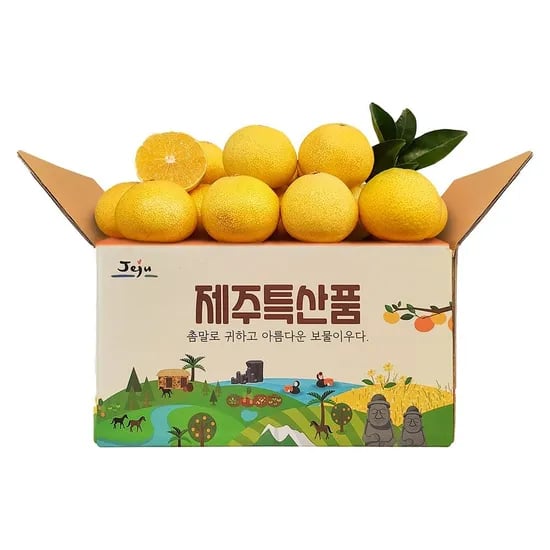 천하일품 제주 황금향 가정용 선물세트 1.5kg 12개