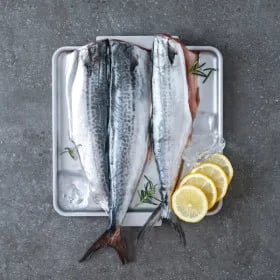 국내산 손질 삼치살 200g x 10팩