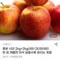 홍로사과 4kg 16,900원/무배4