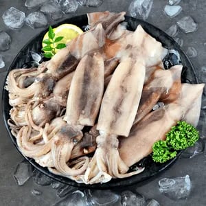 급냉 오징어 통찜용 1kg 5~8미