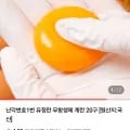 난각번호1번 유정란 무항생제 계란 20구