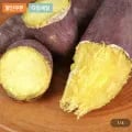 국내산 세척 햇 밤고구마 특상 2kg