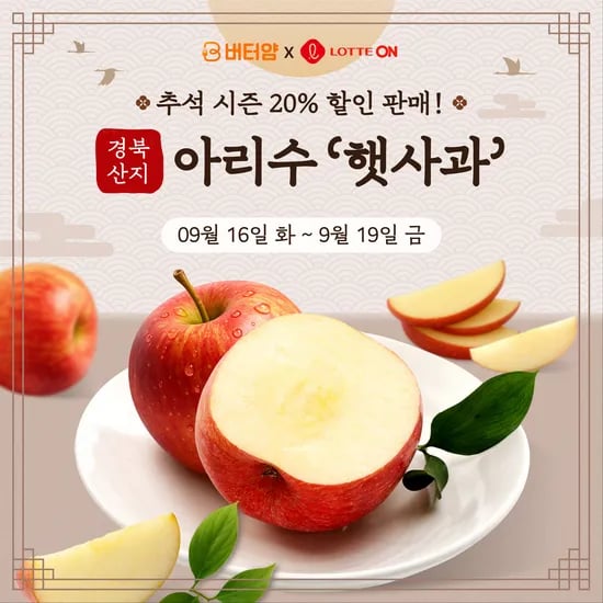 경북 햇사과 아리수 2.5kg 13과
