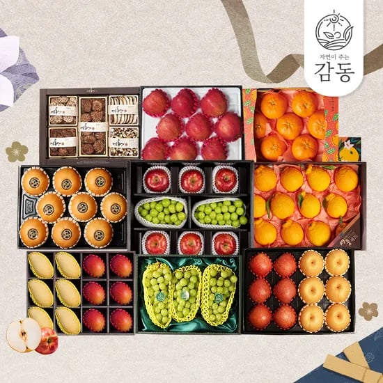 자연의감동 혼합과일 9호 사과6개 배6개 5kg내외 과일선물세트