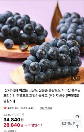 씨없는 신품종 충랑포도 2kg 4~5수