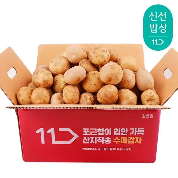 25년산 햇 감자 3kg
